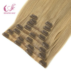 Factory Price Remy Human Hair Clip in Extension Brown Color Factory Price Remy Human Hair Clip in Extension Brown Color