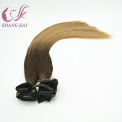 Remy Human Clip Hair Extensions, Virgin Russian Seamless Clip in Hair Remy Human Clip Hair Extensions, Virgin Russian Seamless Clip in Hair